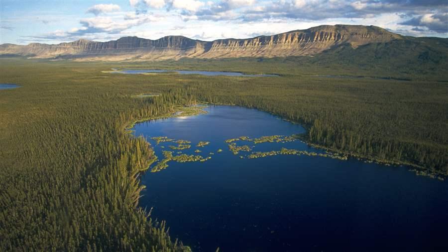 Boreal Forest