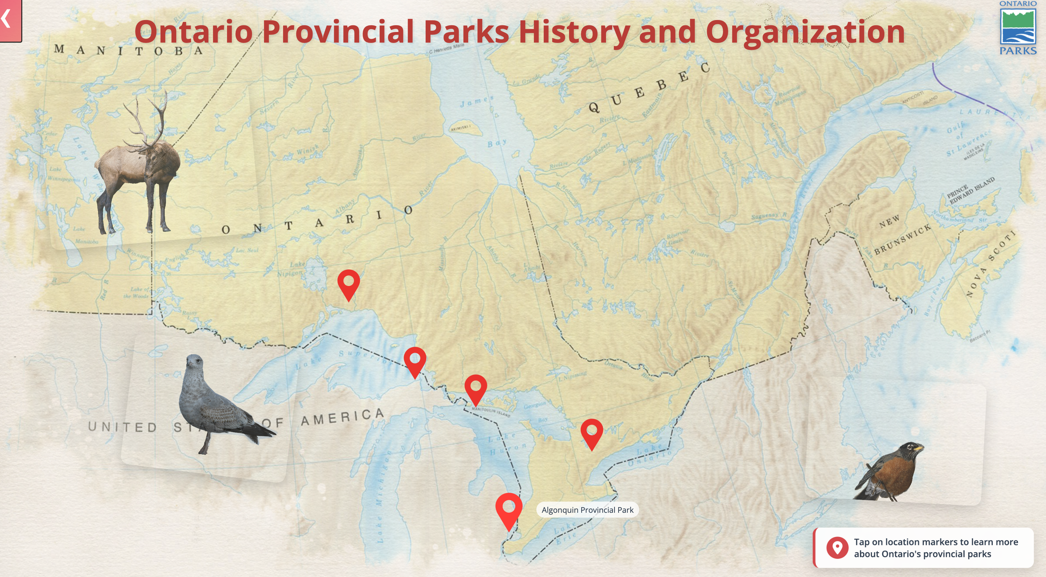 Trail Map Interface